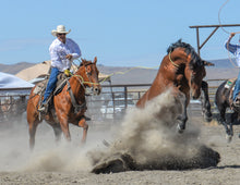 Load image into Gallery viewer, Pre-Order "High Desert Tough" 2026 Cowboy Calendar