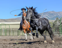 Load image into Gallery viewer, 2023 Cowboy Calendar