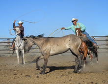 Load image into Gallery viewer, Pre-Order "Loose Rein" 2027 Cowboy Calendar